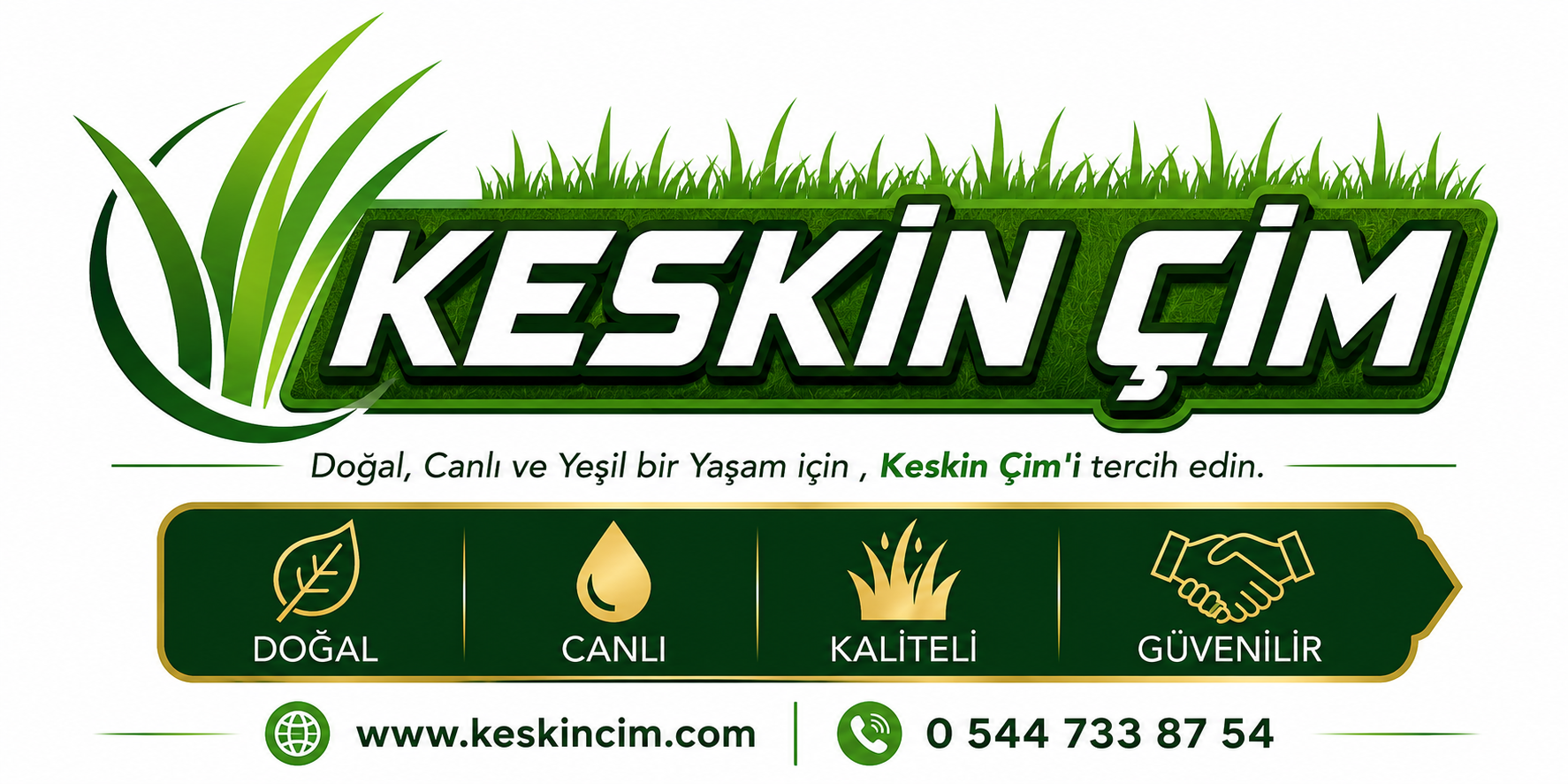 Sakarya Adapazar